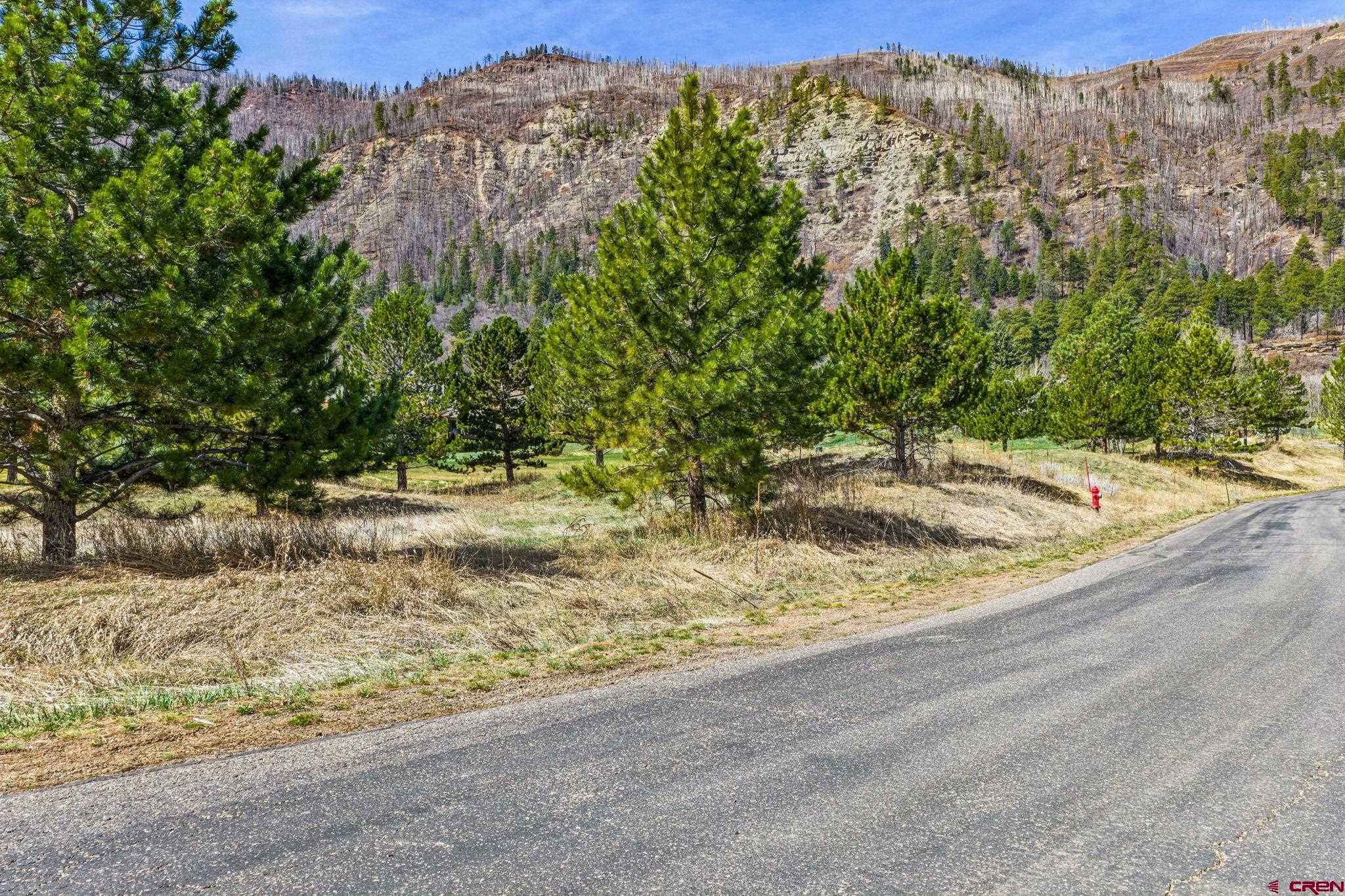 24 Cliffs Edge Drive Durango, CO 81301 - Photo 21 of 21 a view of a yard with an outdoor space