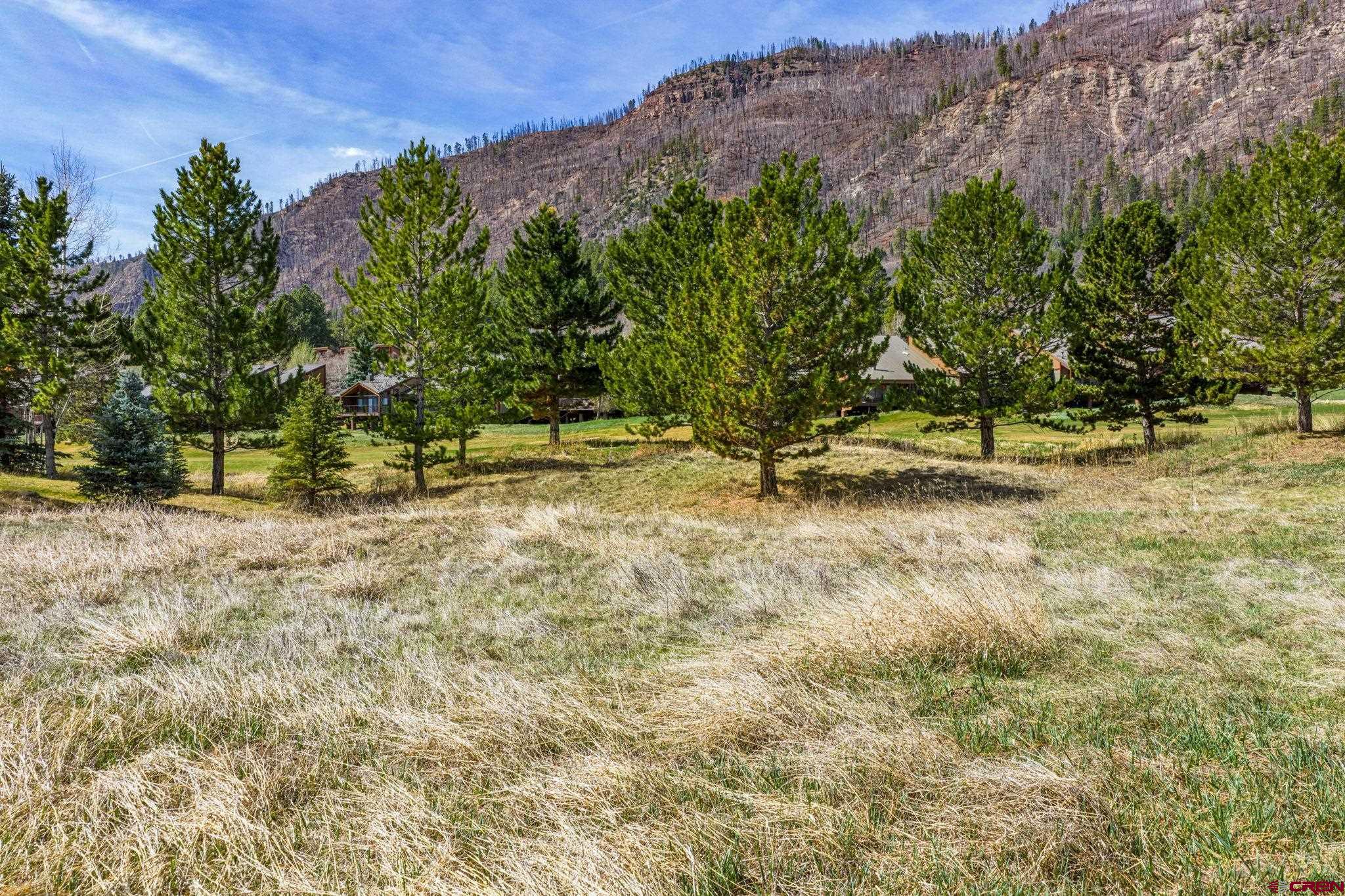 24 Cliffs Edge Drive Durango, CO 81301 - Photo 5 of 21 a view of backyard with outdoor space