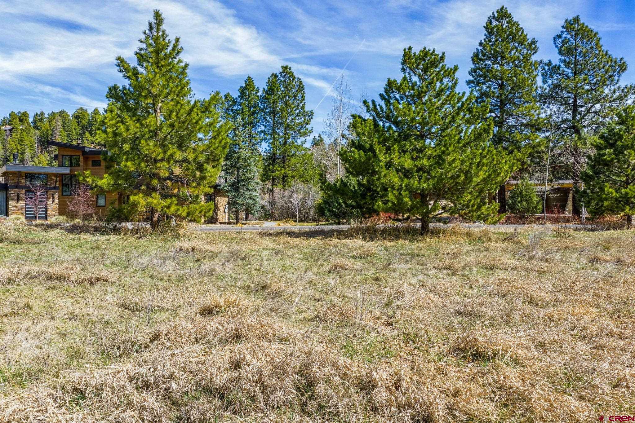 24 Cliffs Edge Drive Durango, CO 81301 - Photo 6 of 21 a view of outdoor space with trees