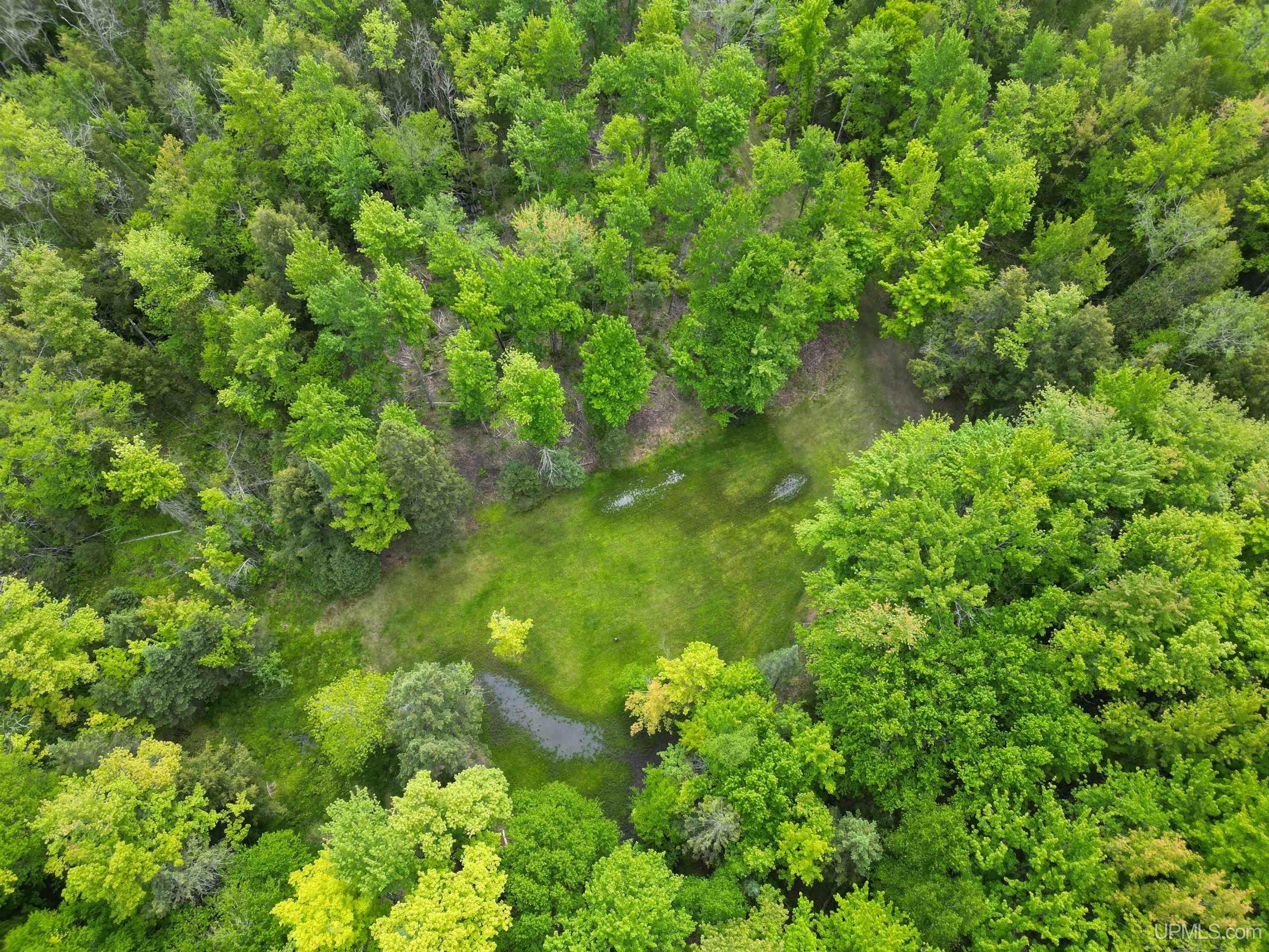426 Rd Arnold Mi 49819 Road Felch, MI 49831 - Photo 33 of 45