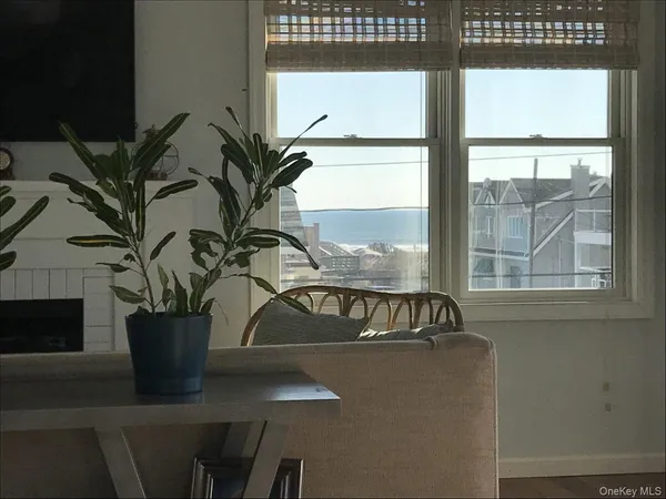 a view of a potted plant on a table