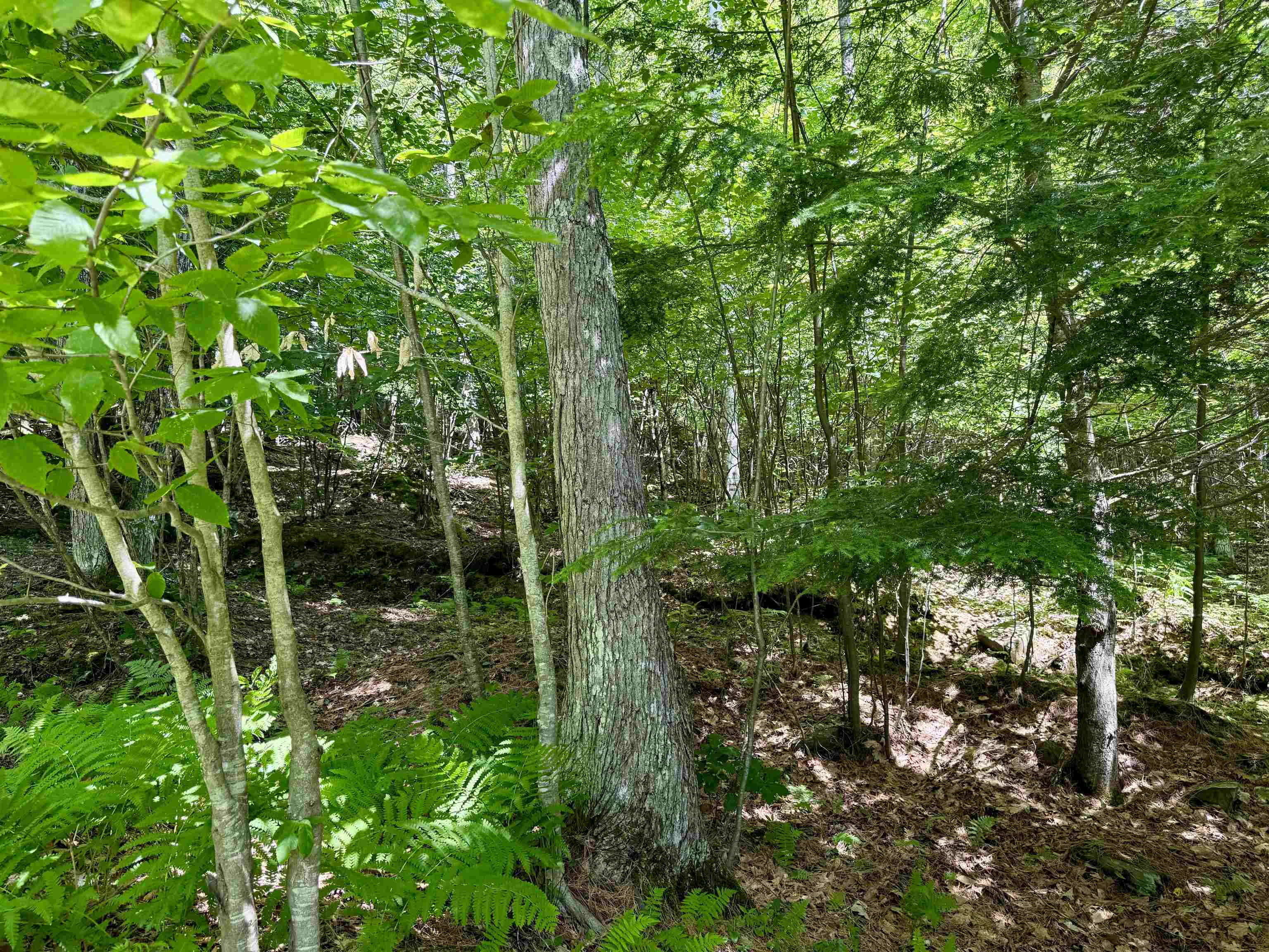 175 Sunset Rock Road Lebanon, NH 03766 - Photo 14 of 28