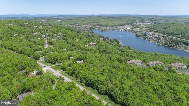 an aerial view of residential houses with outdoor space and trees