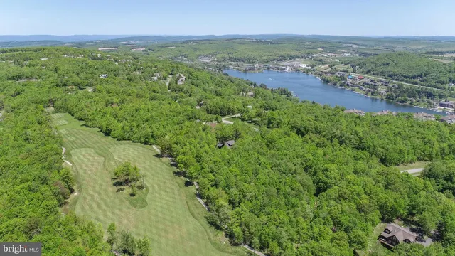 an aerial view of residential houses with outdoor space and trees