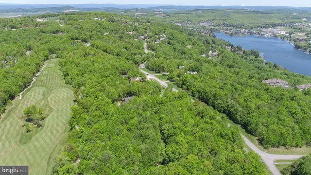 a view of a yard with an outdoor space