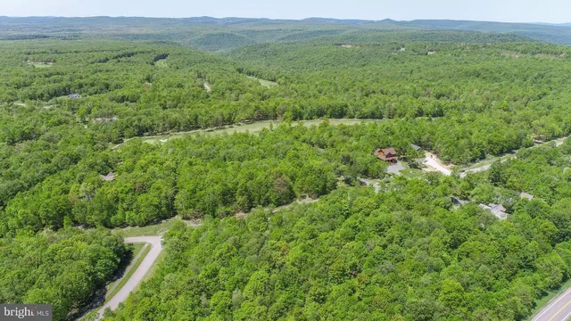 a view of a lush green forest with trees and some houses