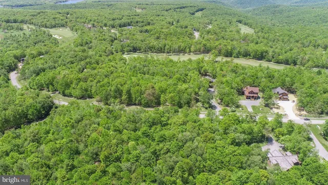 a view of a lush green forest with lots of trees