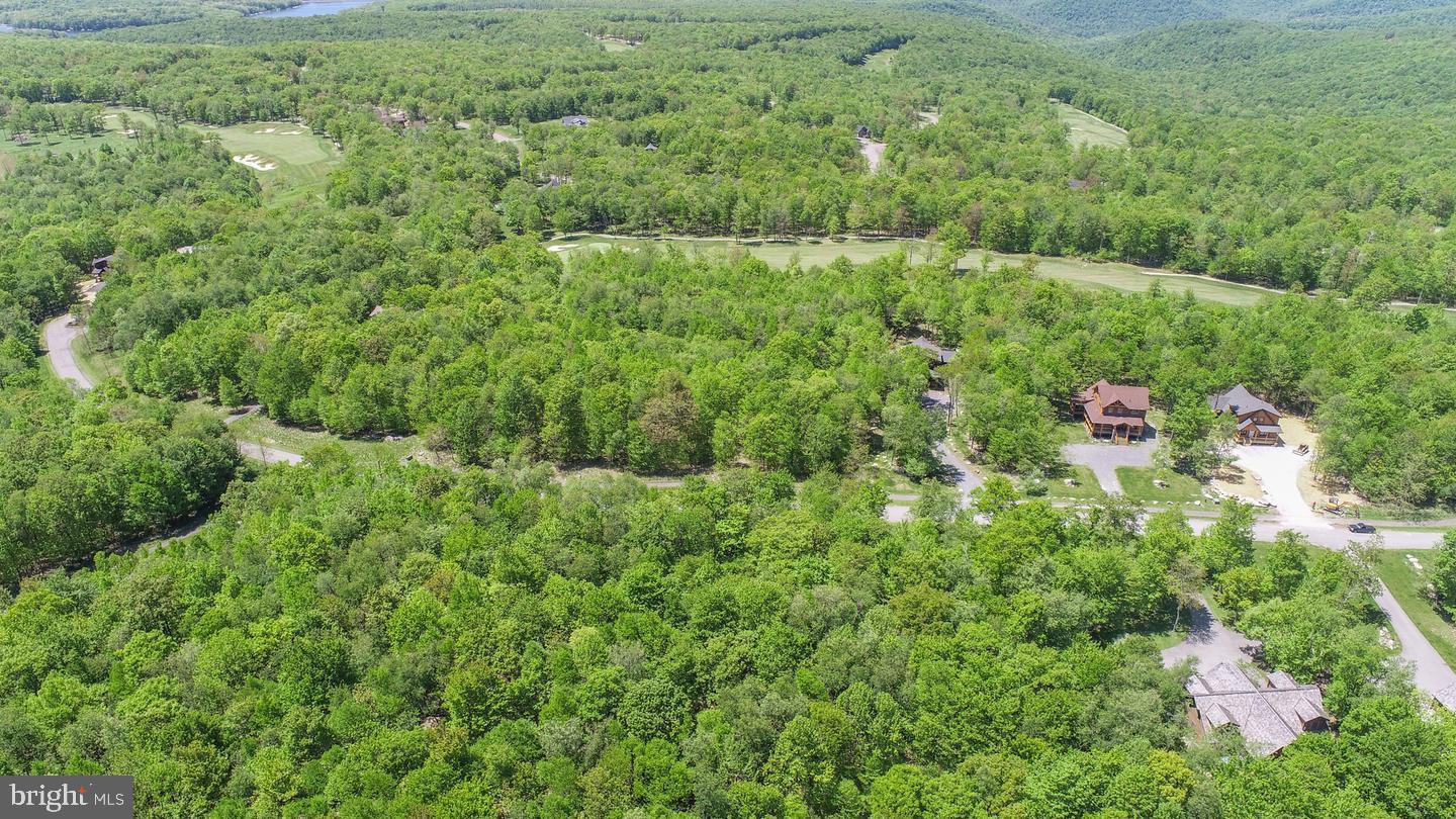 110 Sundance Way McHenry, MD 21541 - Photo 9 of 12 a view of a lush green forest with lots of trees