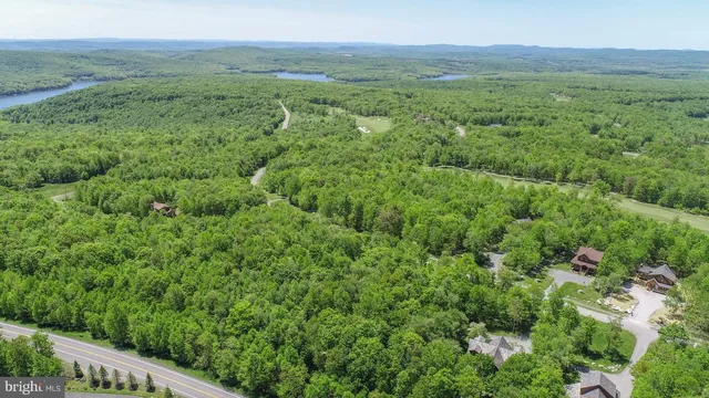 a view of a lush green forest with trees and some houses