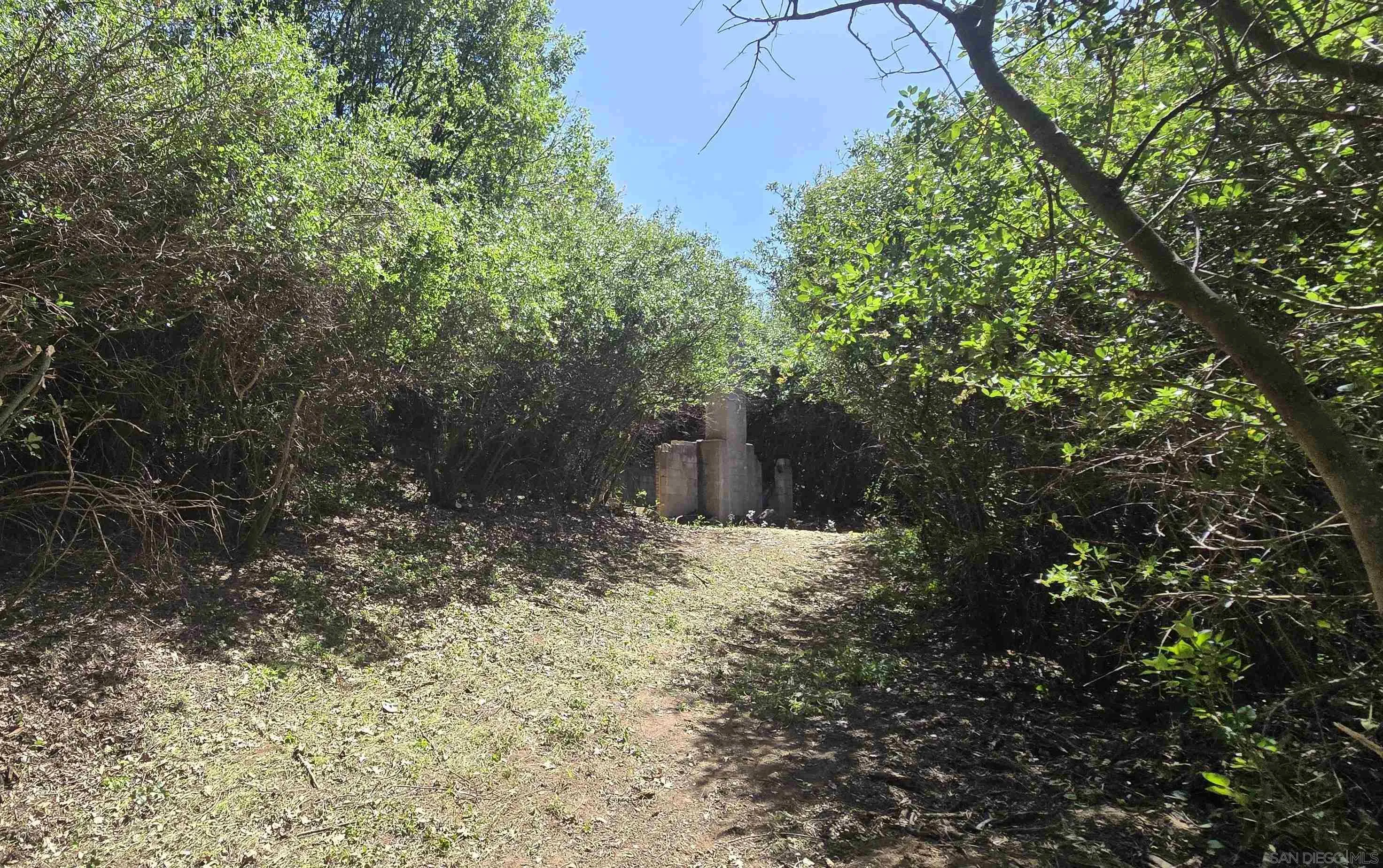 38 Creek Road, Unit 66 13 Julian, CA 92036 - Photo 4 of 16 a view of a yard with plants and trees