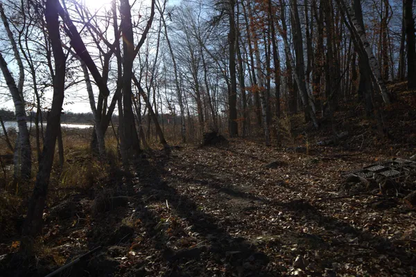 $182,000 | 36363 Co Highway 34, Ogema, MN 56569