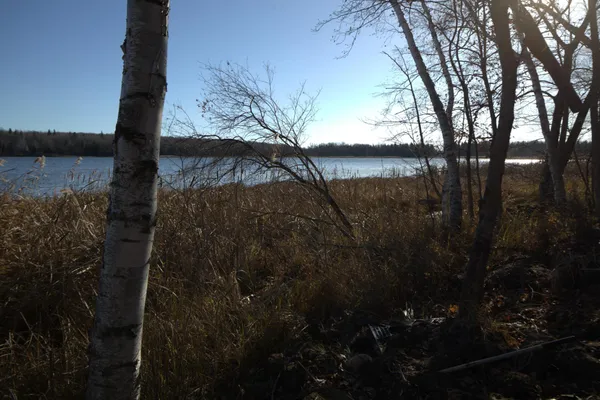 $182,000 | 36363 Co Highway 34, Ogema, MN 56569