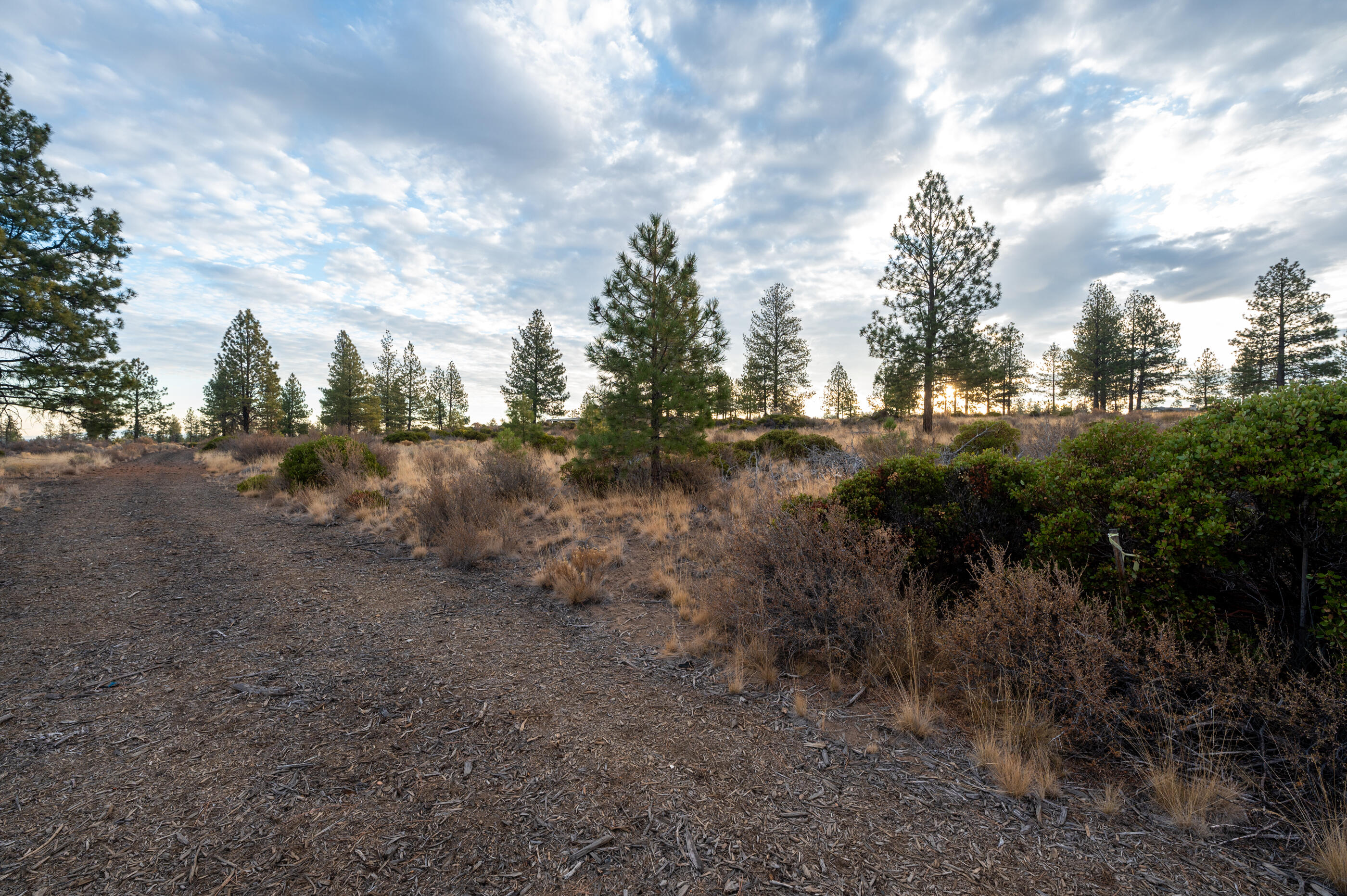 62495 Huntsman Loop Bend, OR 97703 - Photo 19 of 32 18a