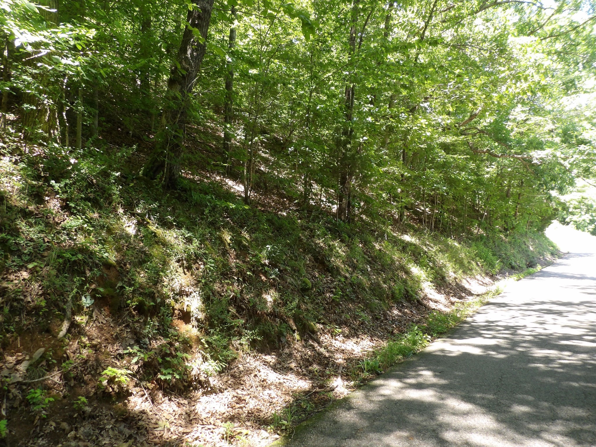 587 West Little Richland Road Waverly, TN 37185 - Photo 14 of 26