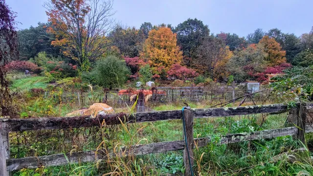 $255,000 | 624 South Stark Highway, Weare, NH 03281