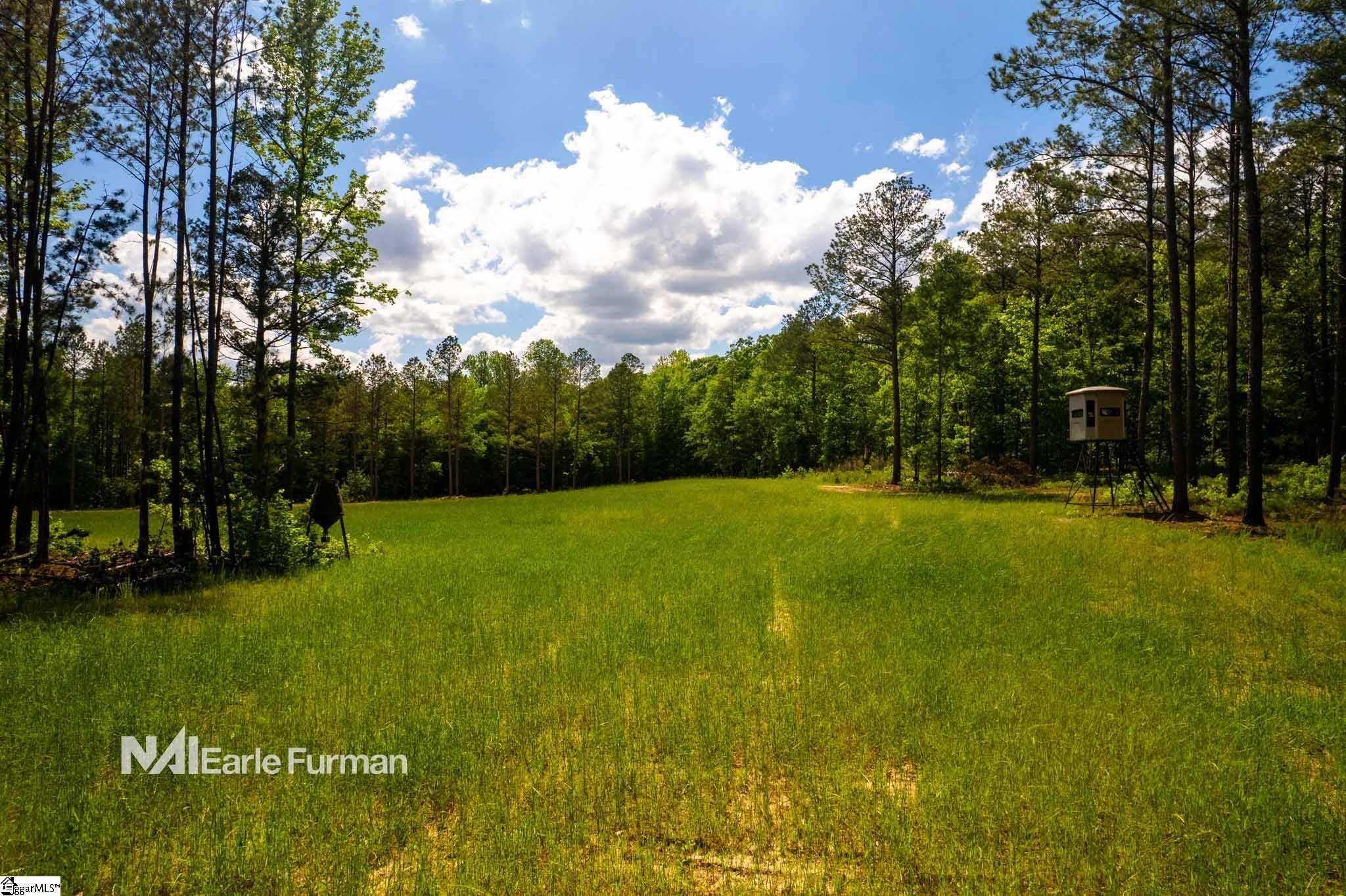 7483 Highway 252 Honea Path, SC 29654 - Photo 18 of 27