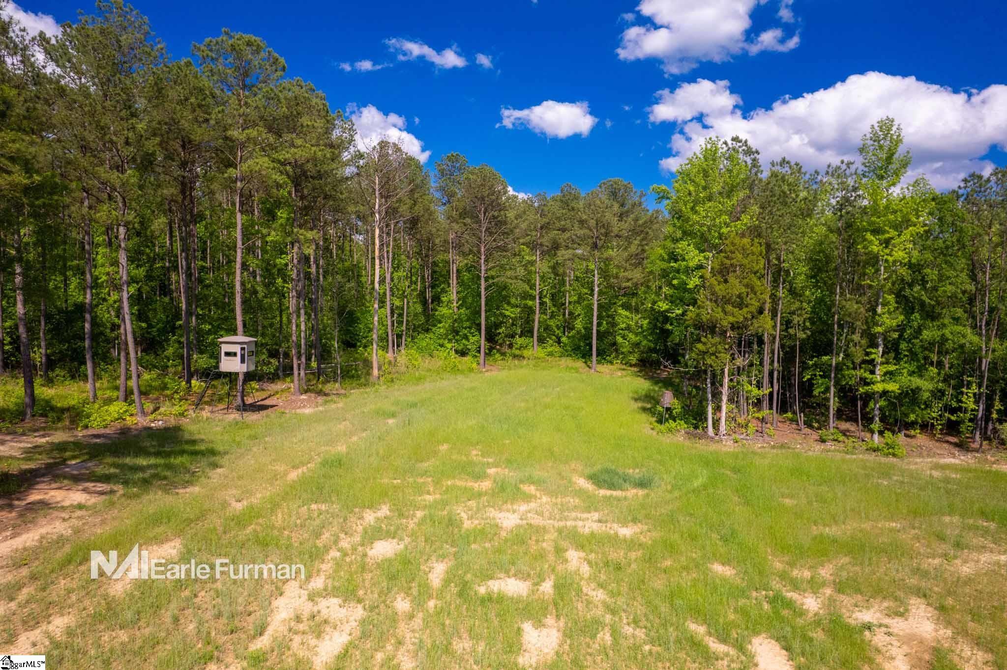 7483 Highway 252 Honea Path, SC 29654 - Photo 19 of 27