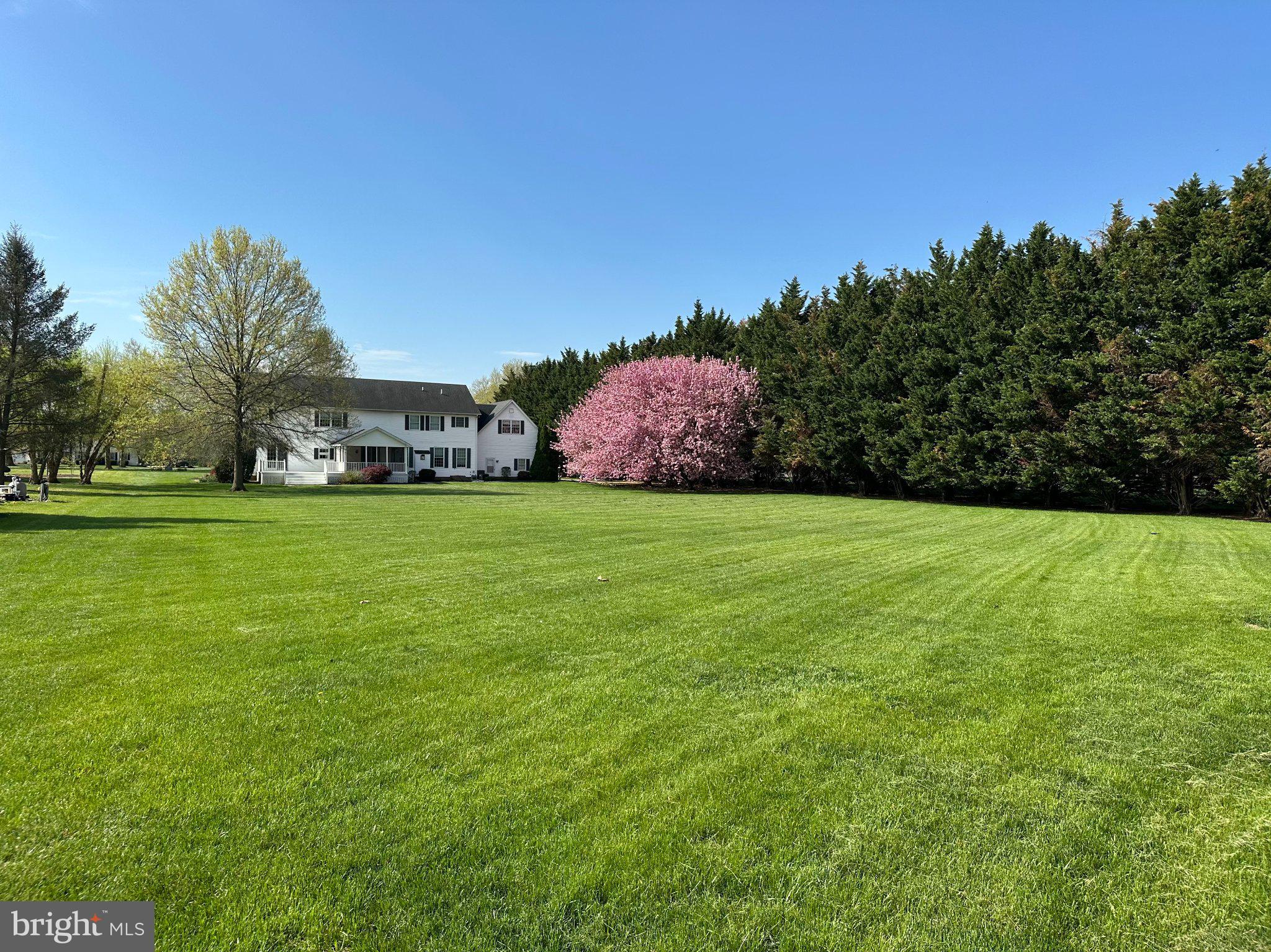 657 Vance Neck Road Middletown, DE 19709 - Photo 2 of 73 Spacious lawn with vibrant blooms.