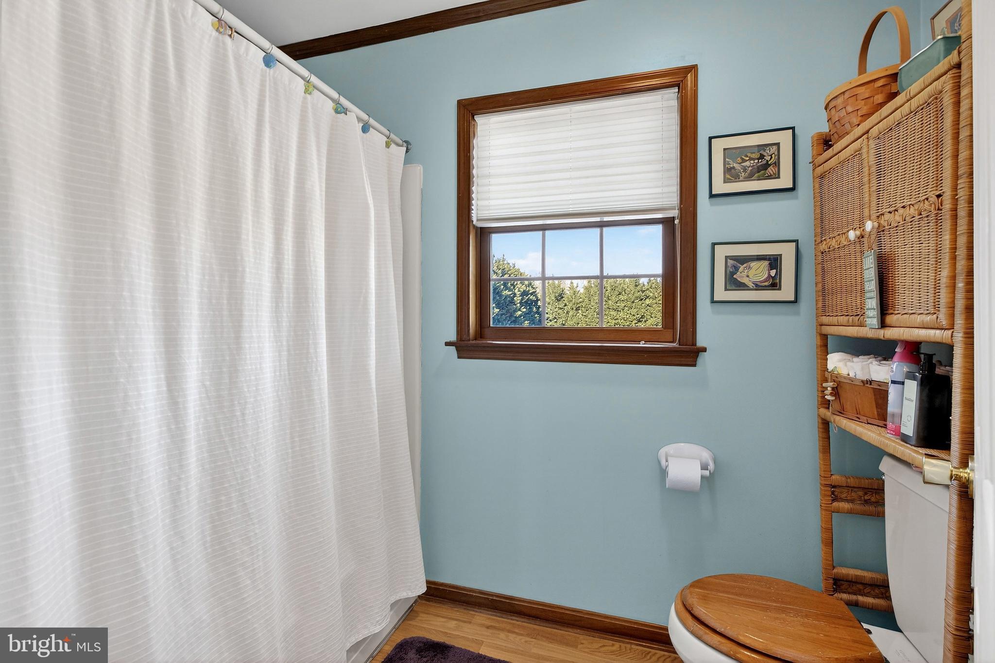 657 Vance Neck Road Middletown, DE 19709 - Photo 41 of 73 a bathroom with a toilet a sink and a window