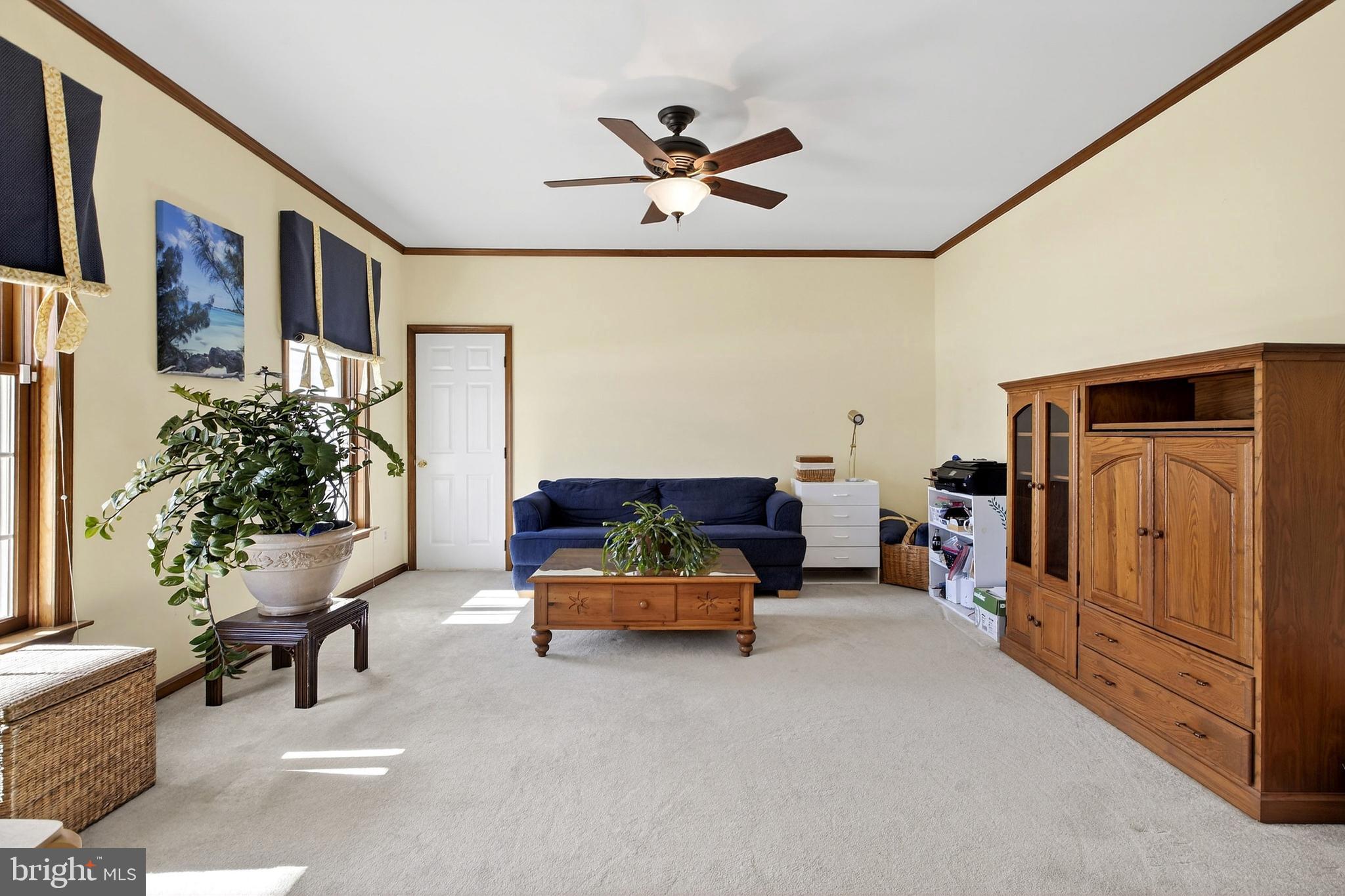 657 Vance Neck Road Middletown, DE 19709 - Photo 5 of 73 a living room with furniture and a potted plant