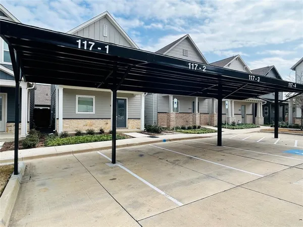 a outdoor space with lots of palm trees