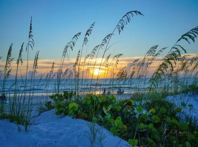 $3,900 | 4908 Harbor Woods Drive, Palm Harbor, FL 34683