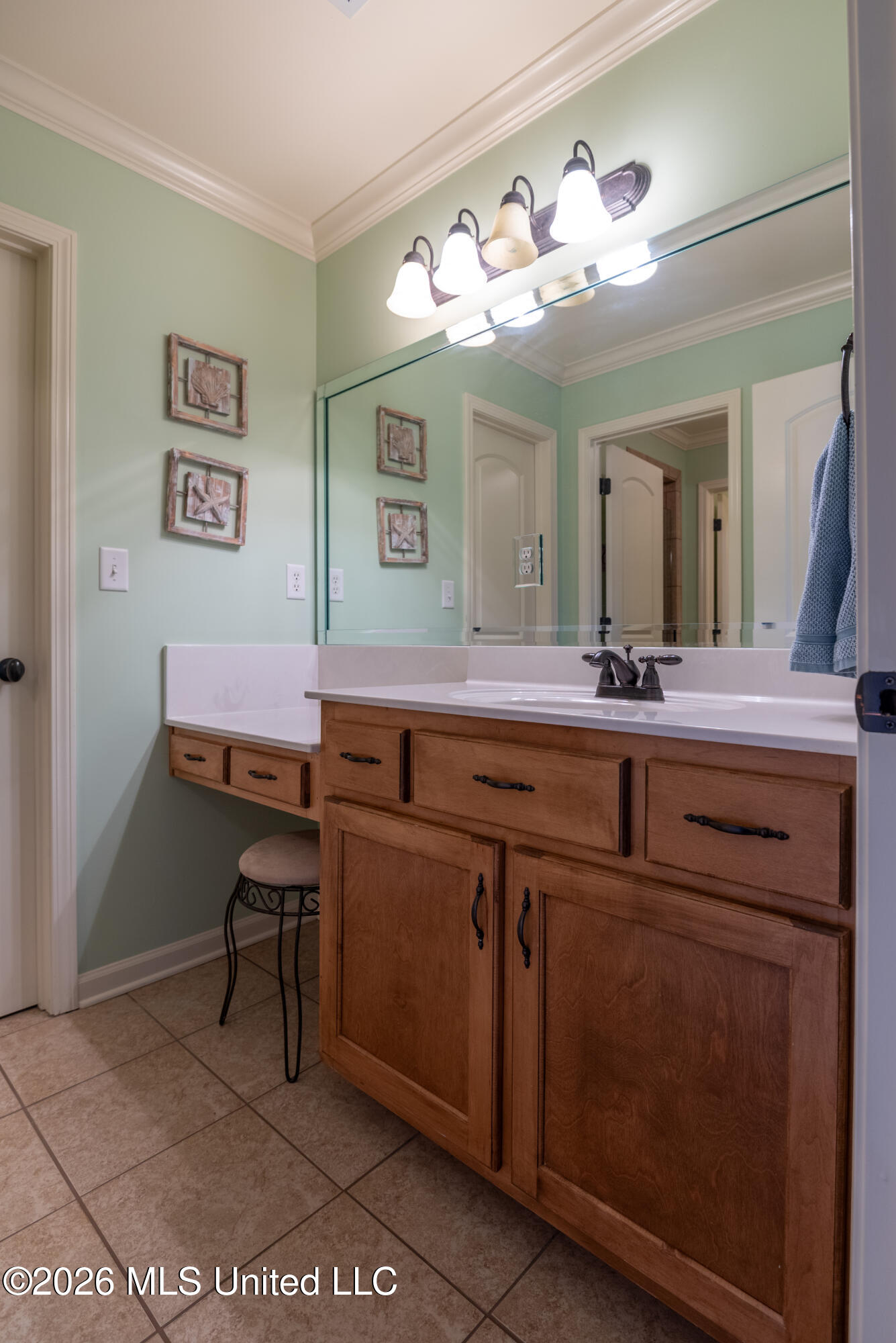 2635 College Road Southaven, MS 38672 - Photo 33 of 44 Jack & Jill Bath