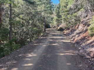 0 French Peak Road, Unit 405 Cave Junction, OR 97523 - Photo 2 of 6 Some of road to property is pretty accessable.