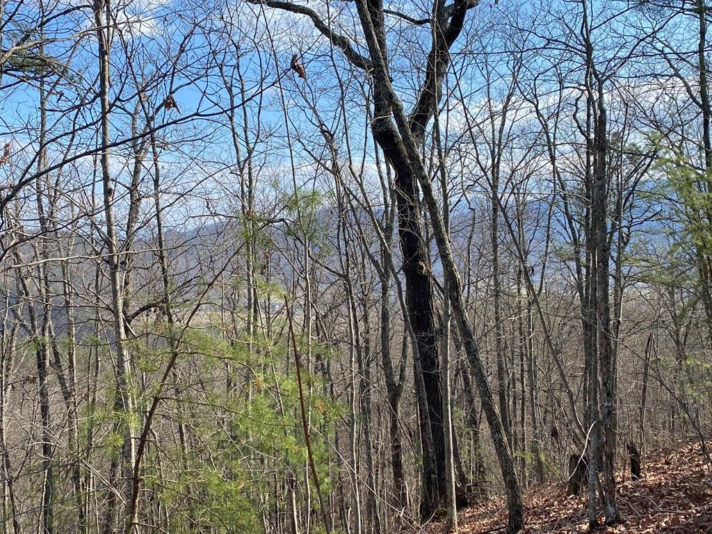 0 Spurling Road Sevierville, TN 37862 - Photo 1 of 4