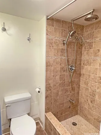 a bathroom with a shower and a toilet