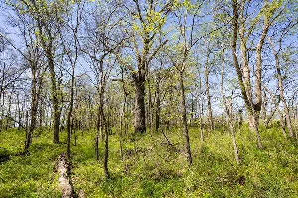 $539,400 | 0 1200th Road, Richards, MO 64778