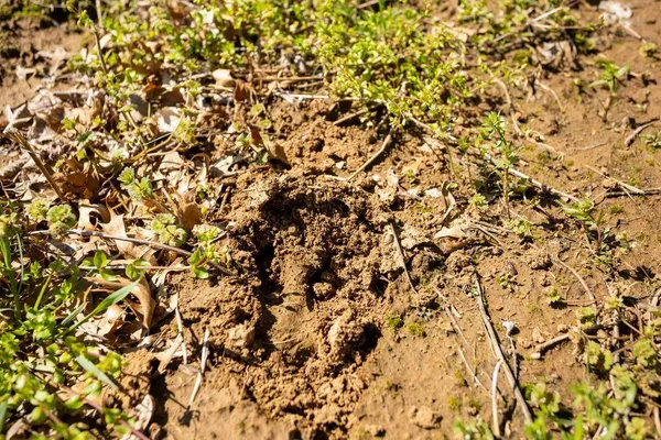 $539,400 | 0 1200th Road, Richards, MO 64778