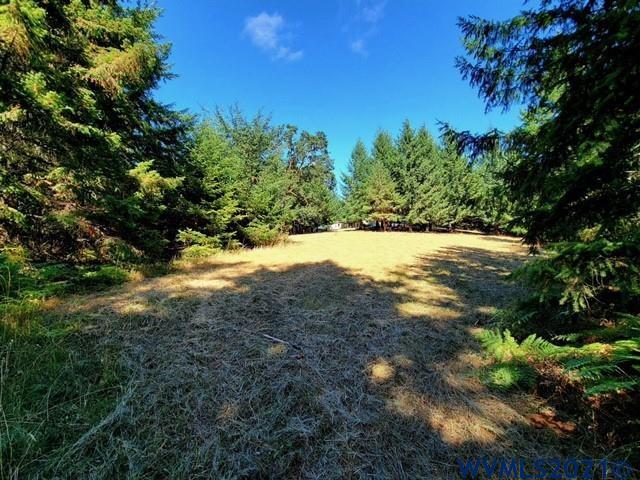 2610 Reuben Boise Road Dallas, OR 97338 - Photo 34 of 37