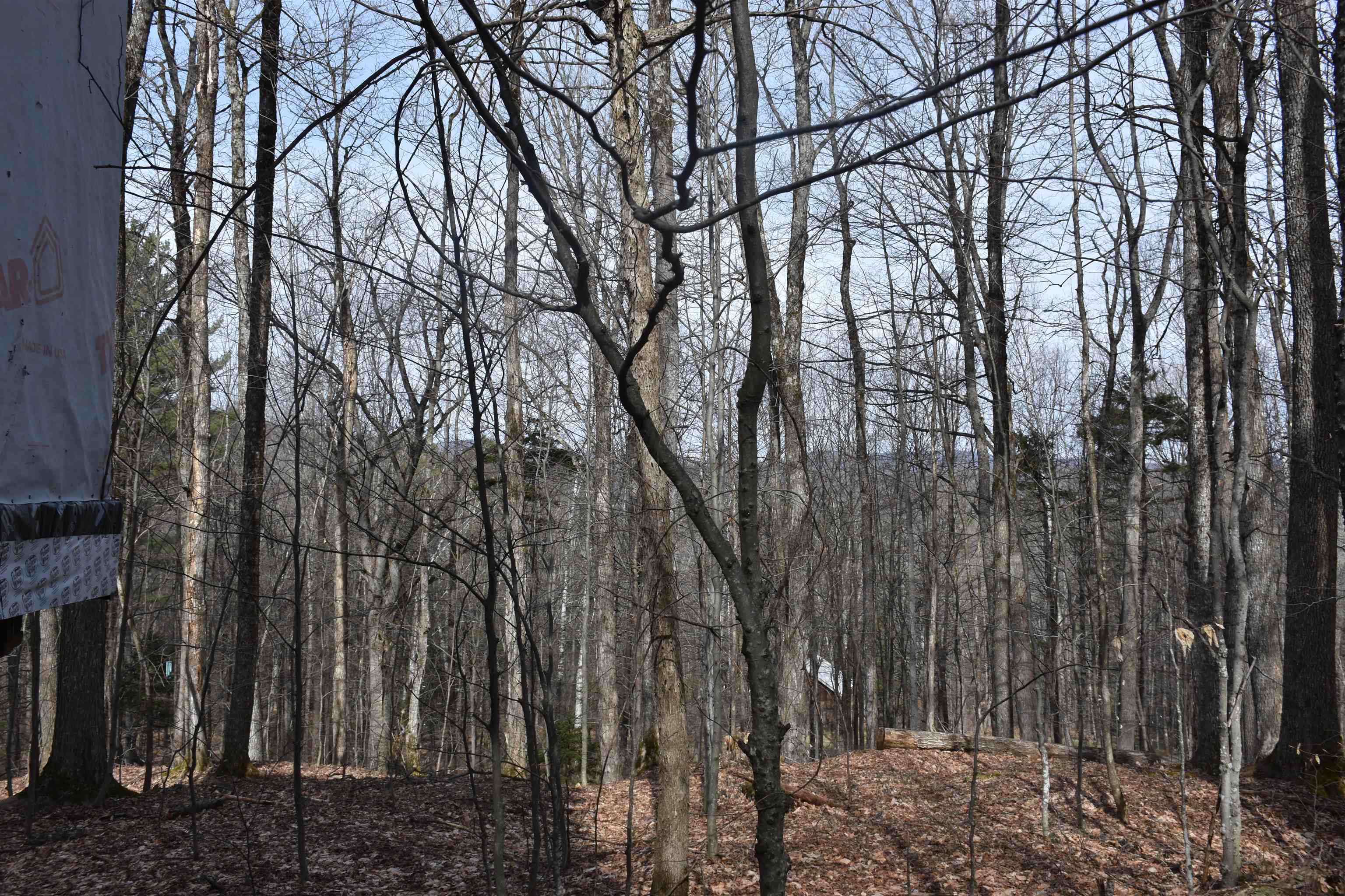 397 Winch Hill Extension Roxbury, VT 05663 - Photo 55 of 57
