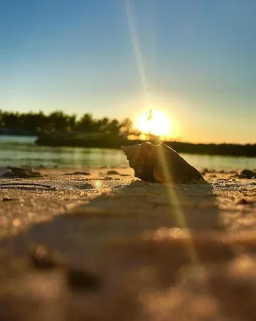 $1,795,000 | 949 Suncrest Lane, Englewood, FL 34223