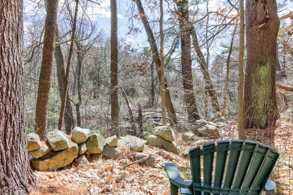 14 Brookview Road Millis, MA 02054 - Photo 37 of 42 Gallery Image 37