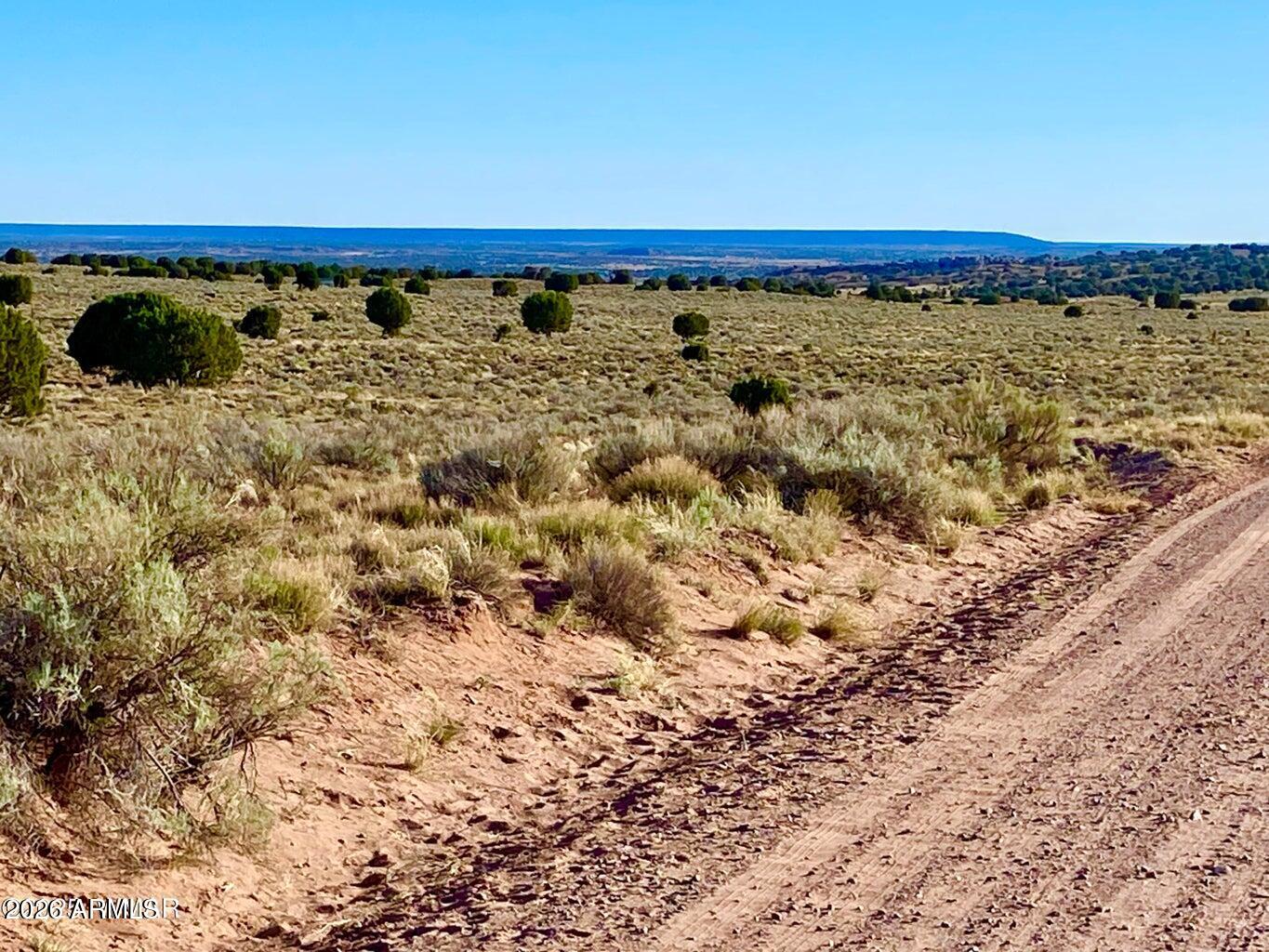 River River Meadows Ranch Concho, AZ 85924 - Photo 5 of 16 20260713061217734181000000-o (1)