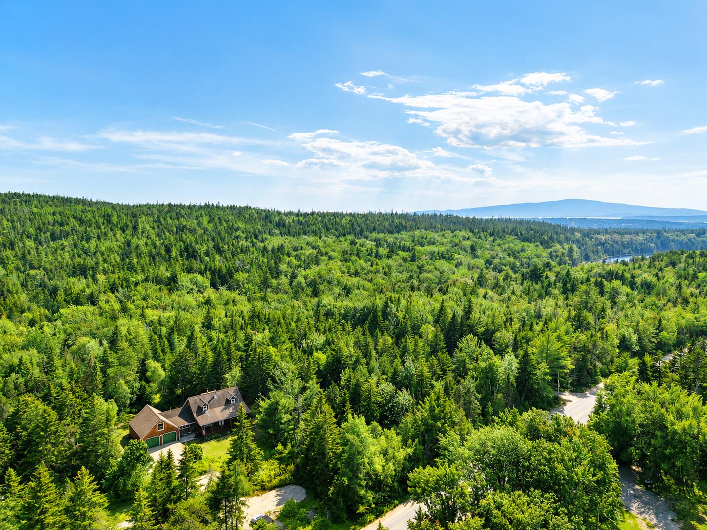 161 Birch-Harbor Road Winter Harbor, ME 04693 - Photo 6 of 40 Drone view