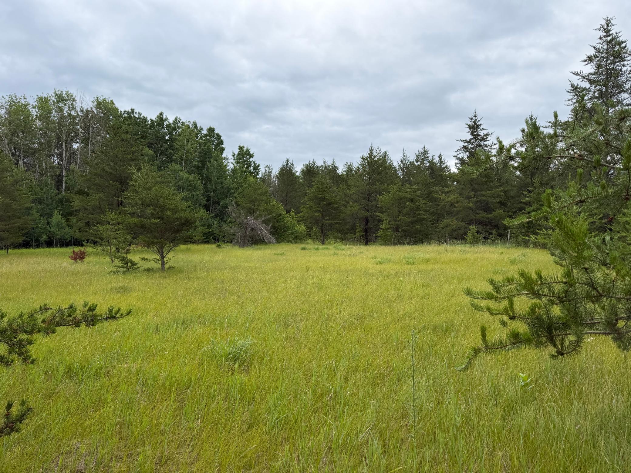 Tbd 350th Street Sebeka, MN 56477 - Photo 81 of 100