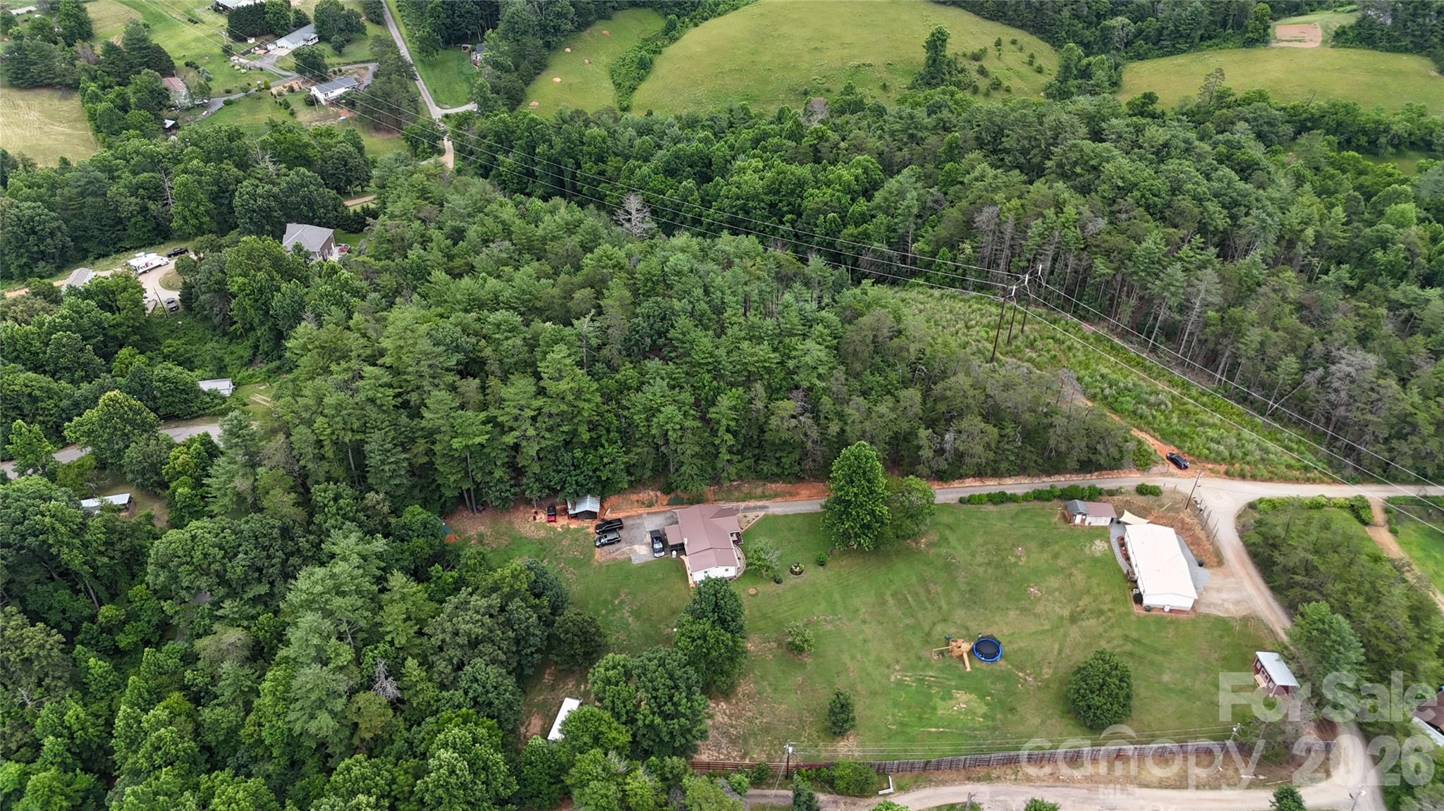 81 Pine Mount Road Weaverville, NC 28787 - Photo 3 of 47