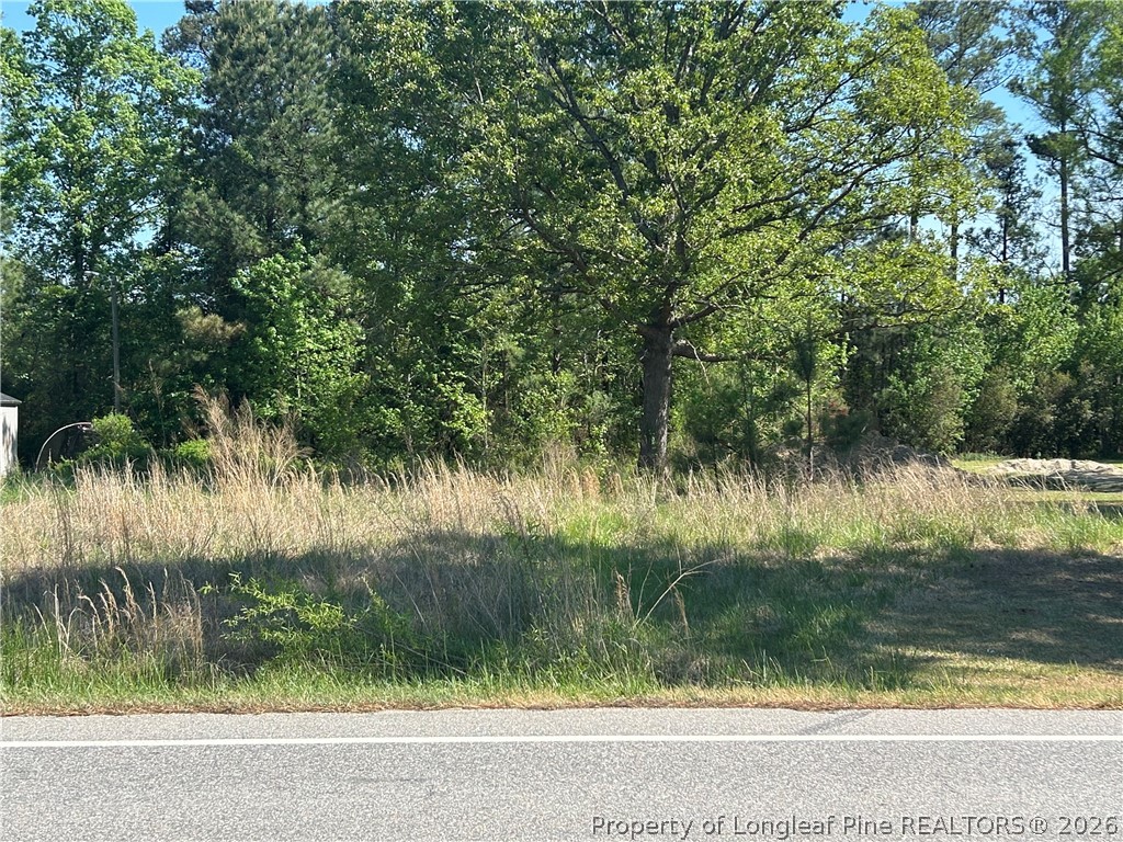 3806 McBryde Road Linden, NC 28356 - Photo 2 of 8