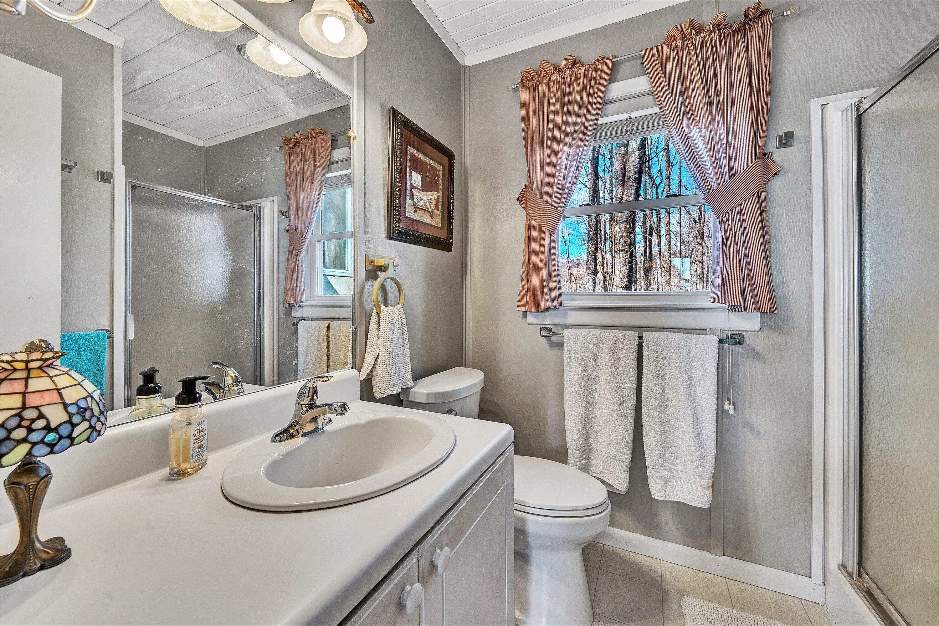 1575 Walnut Knob Road Floyd, VA 24091 - Photo 34 of 62 a bathroom with a sink toilet and a mirror