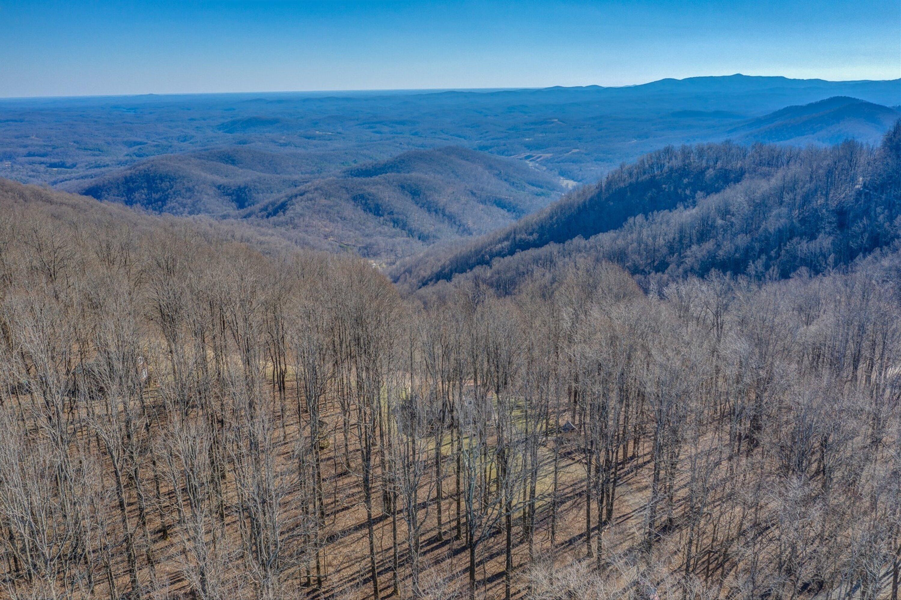 1575 Walnut Knob Road Floyd, VA 24091 - Photo 52 of 62 a view of a dry yard