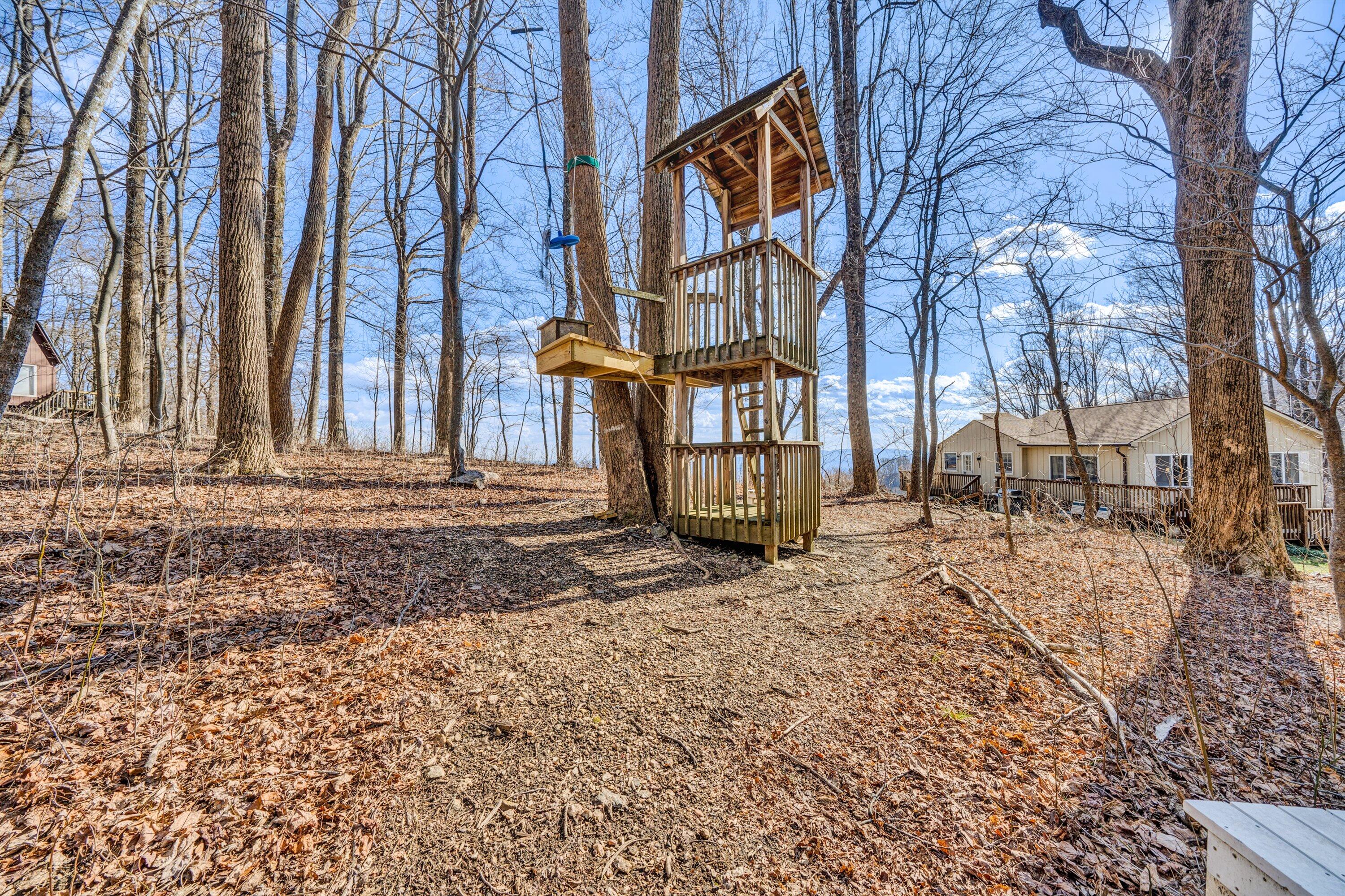 1575 Walnut Knob Road Floyd, VA 24091 - Photo 55 of 62 a front view of a house with a yard