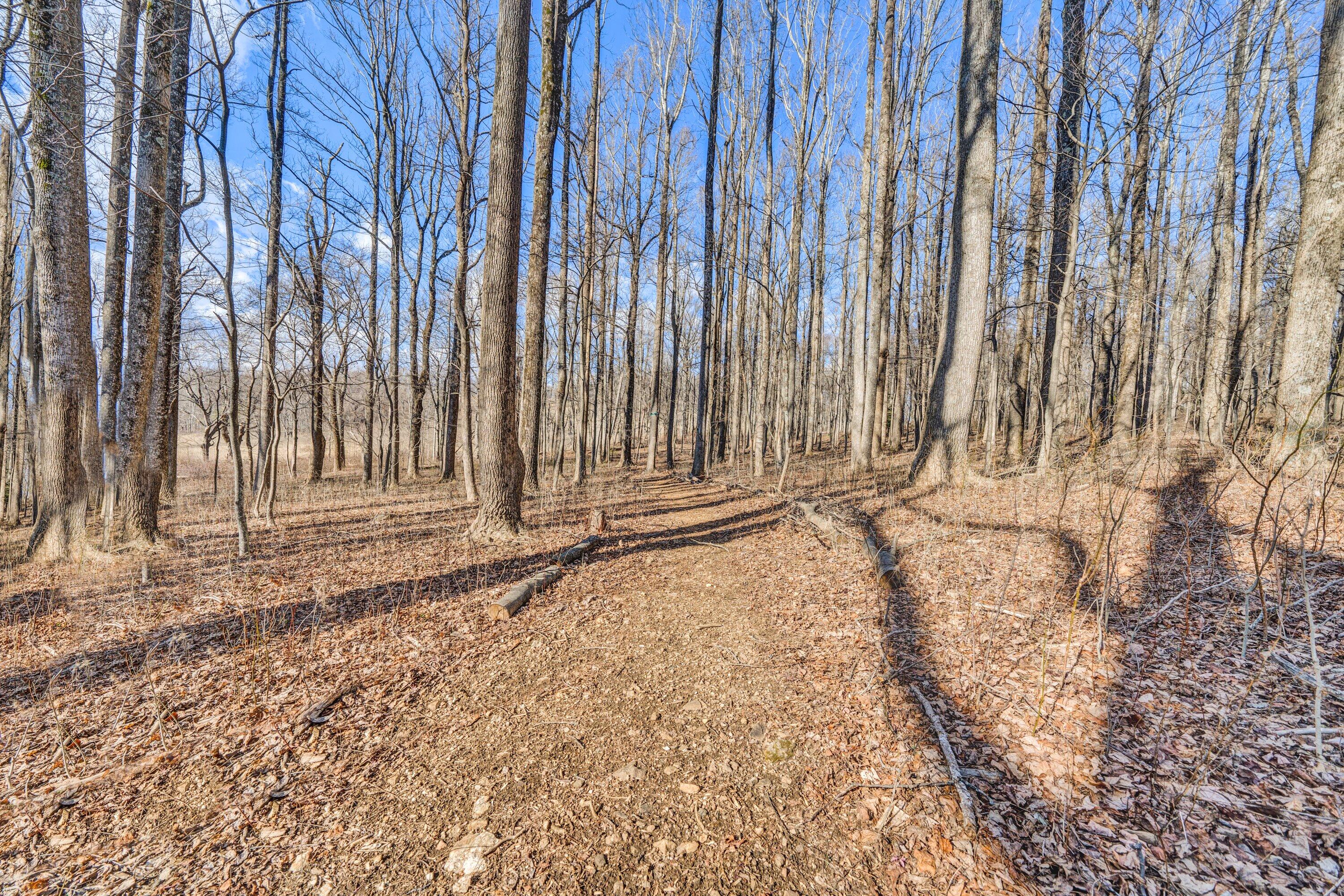 1575 Walnut Knob Road Floyd, VA 24091 - Photo 56 of 62 a view of a backyard with pathway