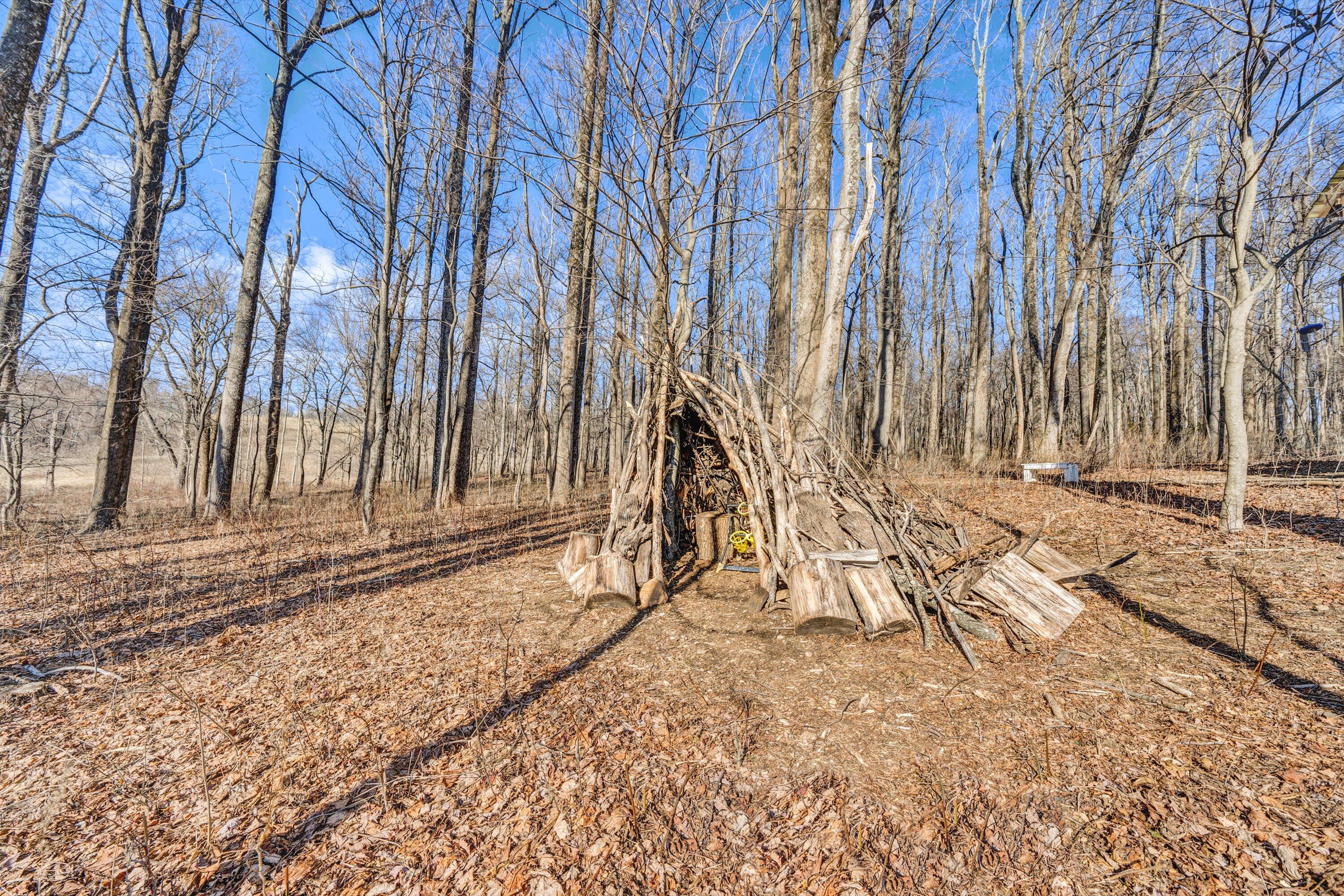 1575 Walnut Knob Road Floyd, VA 24091 - Photo 57 of 62 57-DSC00358