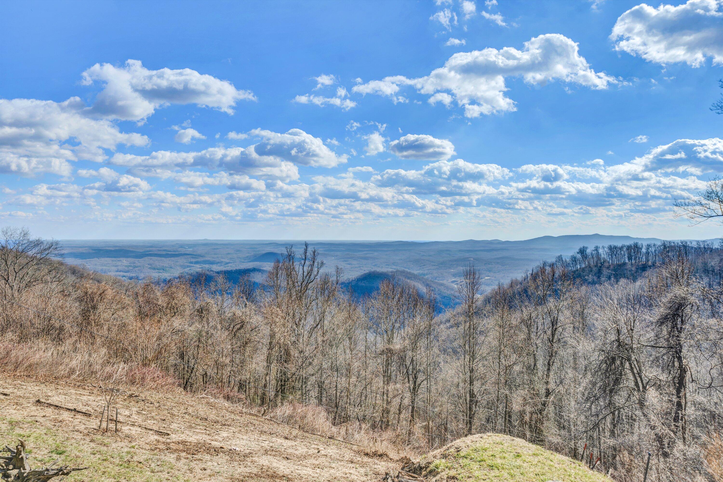 1575 Walnut Knob Road Floyd, VA 24091 - Photo 6 of 62 a view of a dry yard with wooden fence