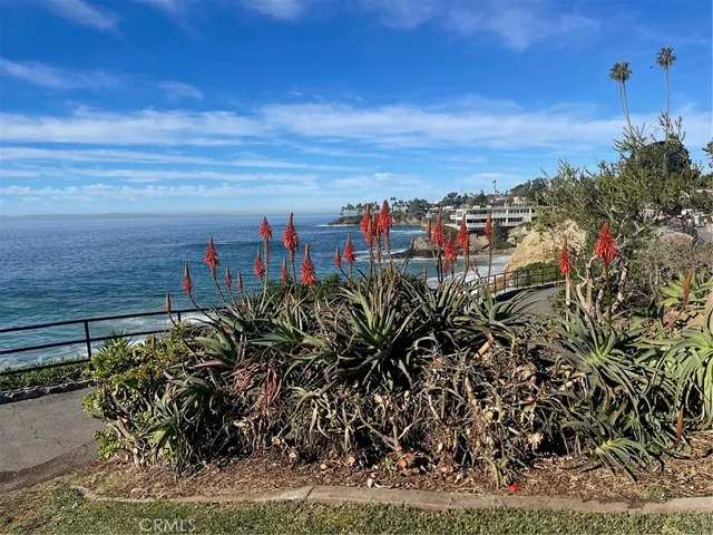 a view of a garden with a fountain