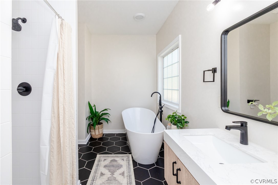 2406 Emanuel Church Road Powhatan, VA 23139 - Photo 28 of 50 a bathroom with a potted plant and a sink