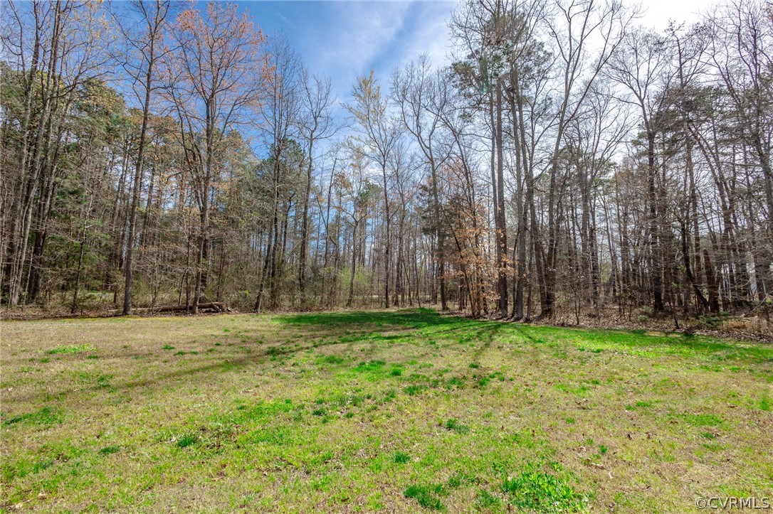 2406 Emanuel Church Road Powhatan, VA 23139 - Photo 49 of 50 a view of a yard with large trees